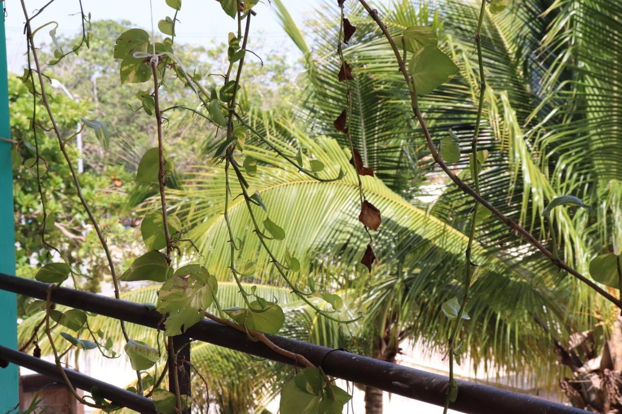 Andrea'S Tulum Hotel Exterior photo